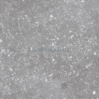 EQUIPE CORALSTONE GREY 20X20
