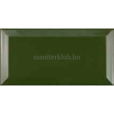 Fabresa verde botella metro csempe 10x20 cm