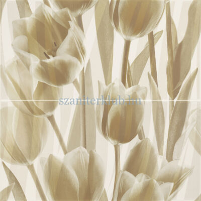 paradyz coraline panel tulipany 60x60 cm