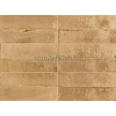 ragno look beige R8FP 6x24 cm
