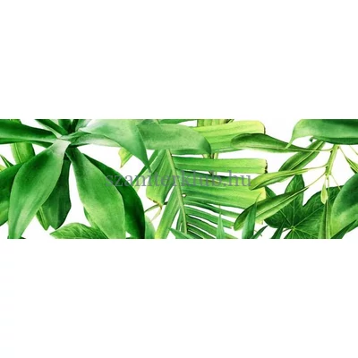 valore premium garden tropic dekor b ret. 25x75 cm