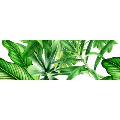 valore premium garden tropic dekor c ret. 25x75 cm
