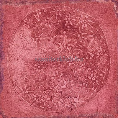 vives luca carlo granate 20x20 cm