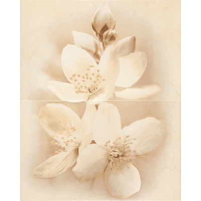 cersanit diana flower dekor 40x50 cm