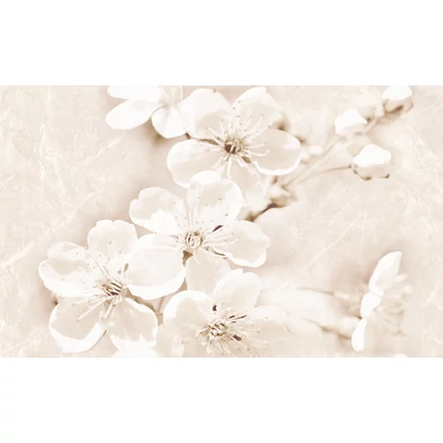 cersanit sofi insert flower dekor 25x40 cm