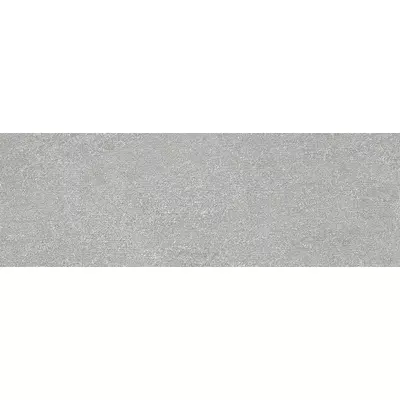 emigres olite gris falicsempe 20x60 cm