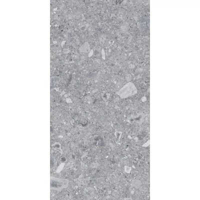 energieker ceppo di gré grey 60x120 cm