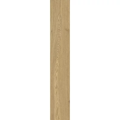 energieker woodwise auburn 20x120 cm