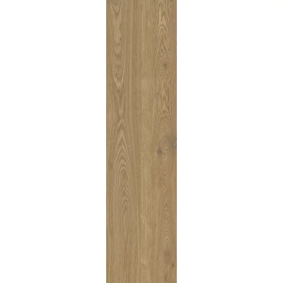 energieker woodwise brandy 30x120 cm