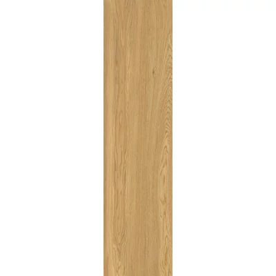 energieker woodwise caramel 30x120 cm