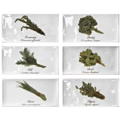 Fabresa artisan herb decor mix brillo csempe 10x20 cm
