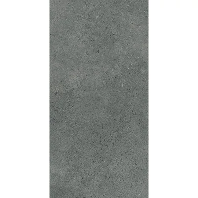 paradyz authority graphite 60x120 cm
