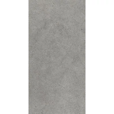 paradyz authority grey 60x120 cm