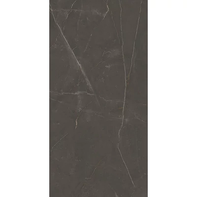 paradyz linearstone brown mat 59,8x119,8 cm