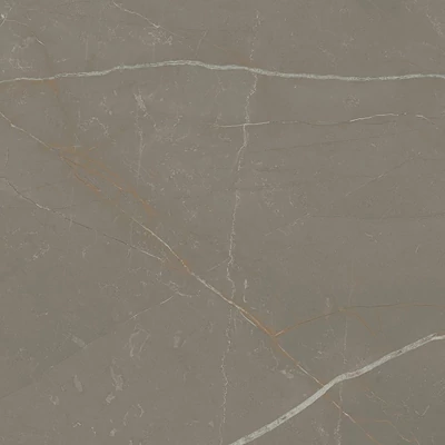 paradyz linearstone taupe mat 59,8x59,8 cm