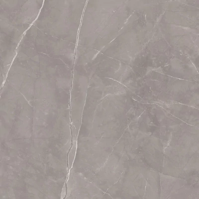 paradyz ritual grey 120x120 cm