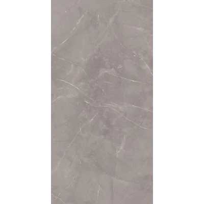 paradyz ritual grey 60x120 cm