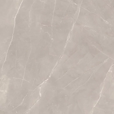 paradyz ritual taupe 120x120 cm