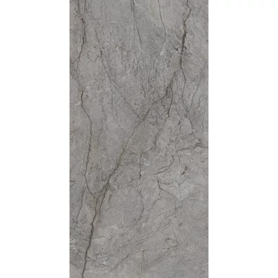 paradyz visioner grey pol. 60x120 cm