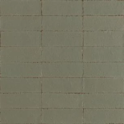 ragno glacé muschio csempe RAEX 7x20 cm