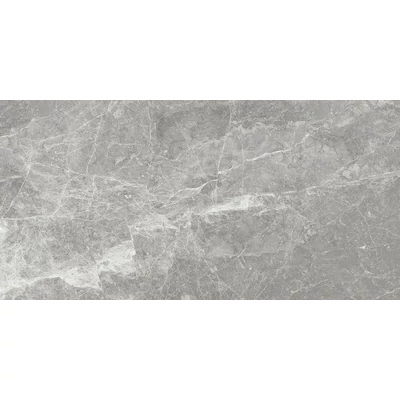 sichenia museum amazing grey lux 59x117,5 cm