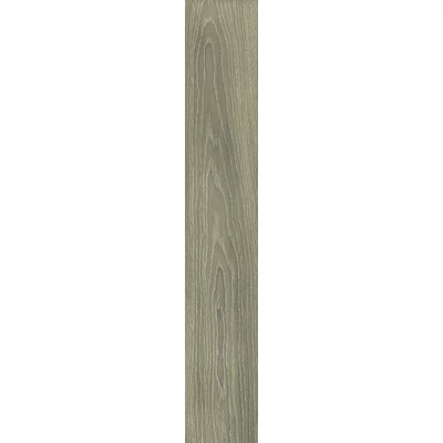 sichenia troncais sage 20x120 cm