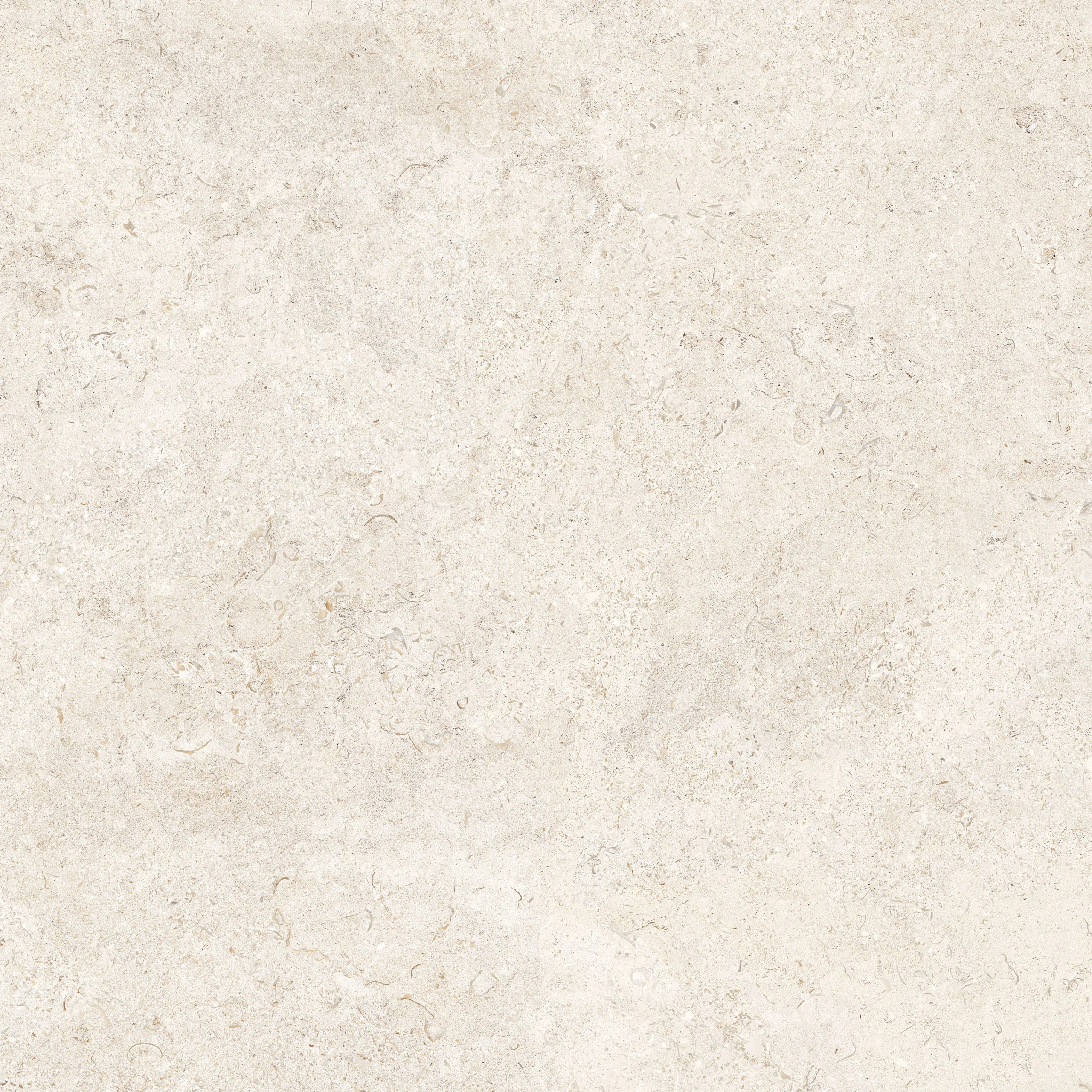 crz64 coquina limestone white nat 80,2x80,2 cm