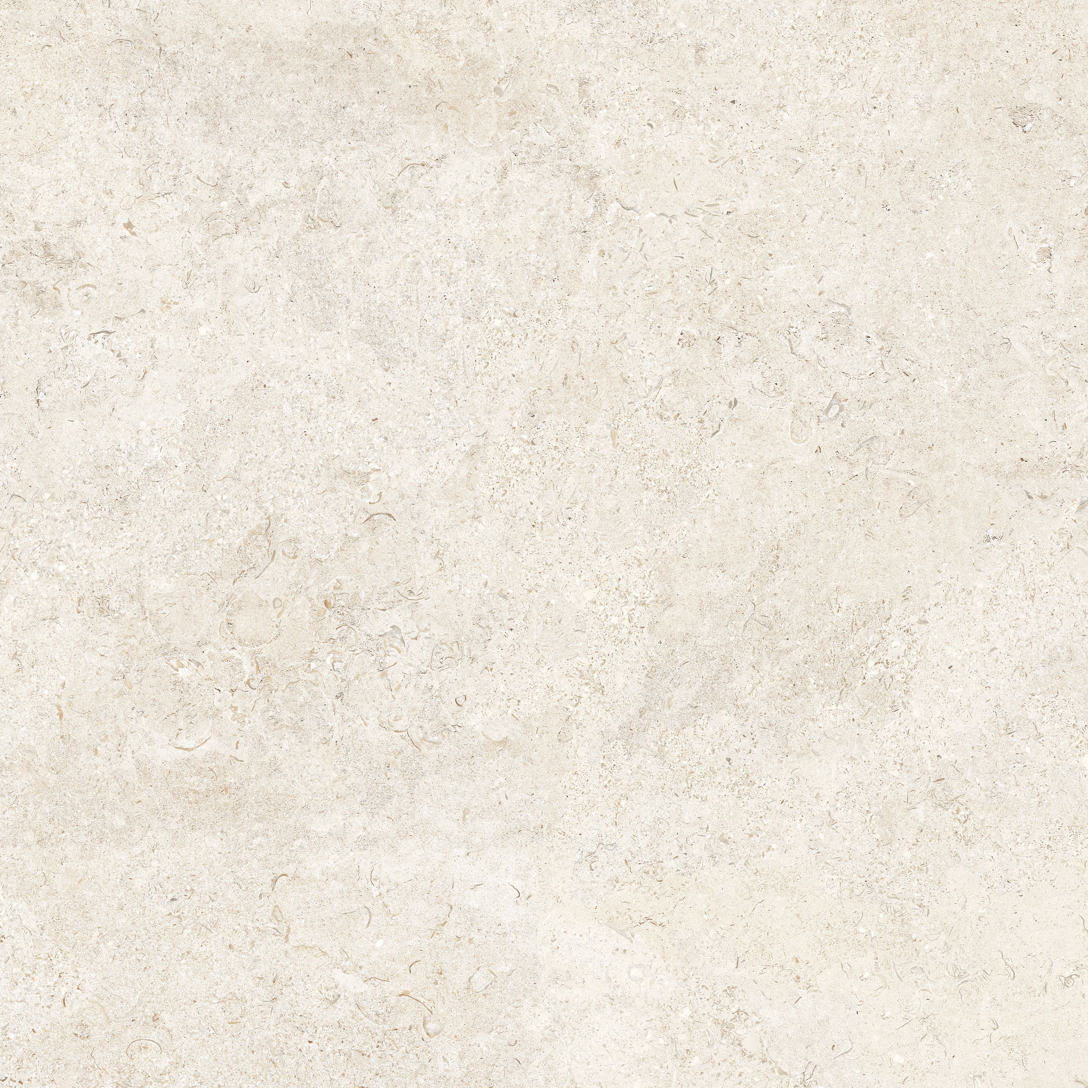 crz64 coquina limestone white lux 80,2x80,2 cm