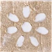 delconca galestro a hgt 1 beige 5x5 cm