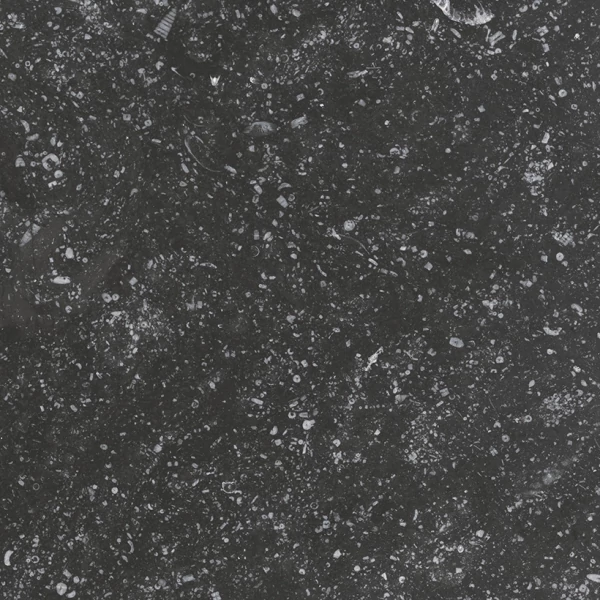 EQUIPE CORALSTONE BLACK 20X20 cm