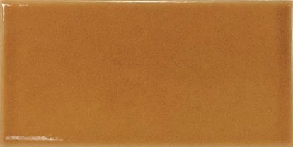 EQUIPE EVOLUTION AMBER 7,5X15 cm
