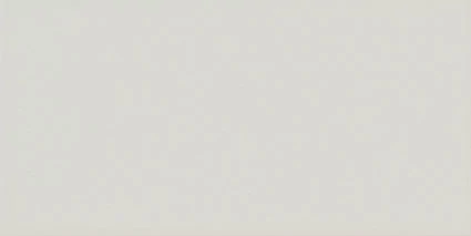 EQUIPE EVOLUTION GRIS CLARO BRILLO 7,5X15 cm