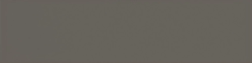 EQUIPE EVOLUTION GRIS OSCURO BRILLO 10X40 cm