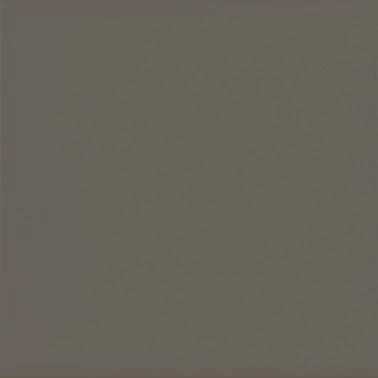 EQUIPE EVOLUTION GRIS OSCURO BRILLO 15X15 cm