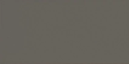 EQUIPE EVOLUTION GRIS OSCURO BRILLO 7,5X15 cm