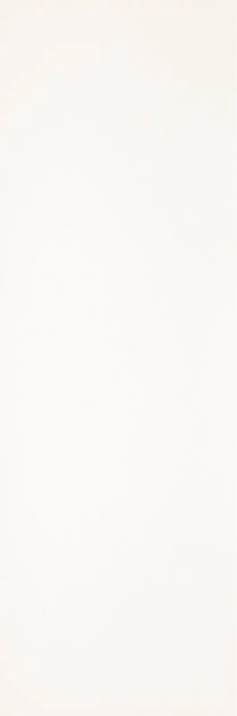 paradyz elegant surface bianco csempe 29,8x89,8 cm