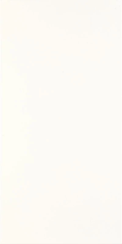 paradyz fiori bianco csempe 30x60 cm