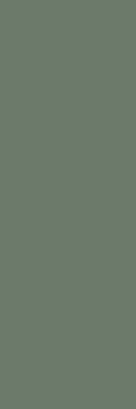 paradyz nightwish green csempe 25x75 cm