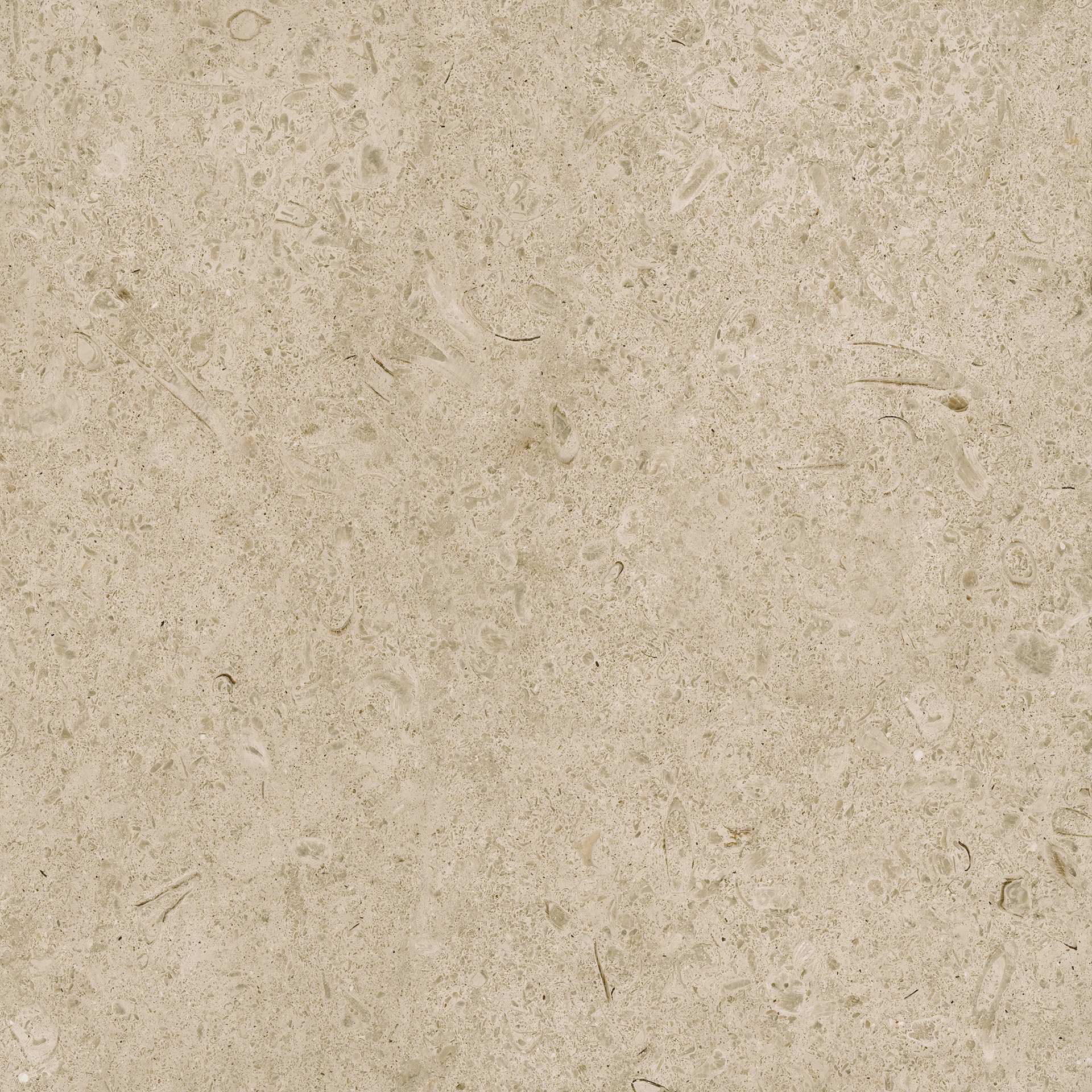 ragno eterna greige str padlólap R8KL 60x60 cm