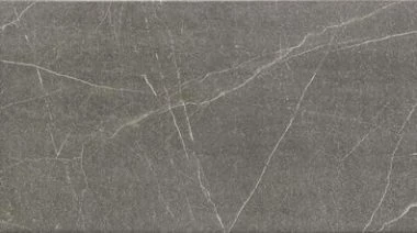 realonda muse grey 31x56 cm