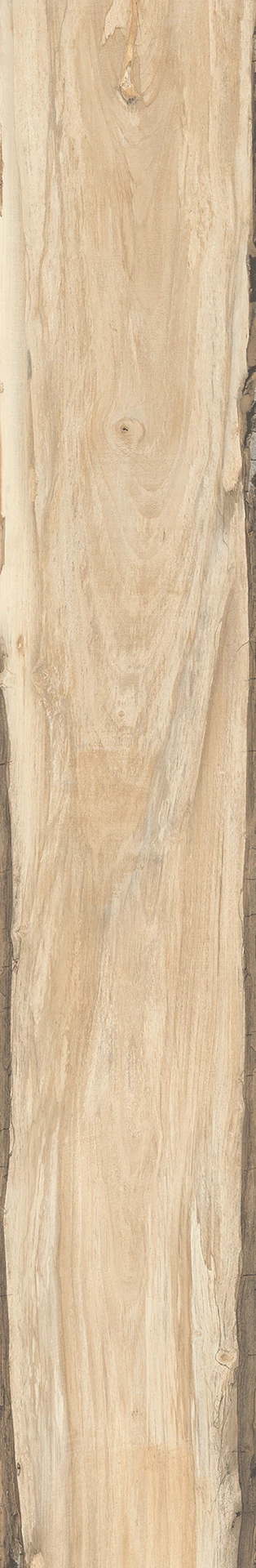 rondine sherwood maple padlólap 24x150 cm