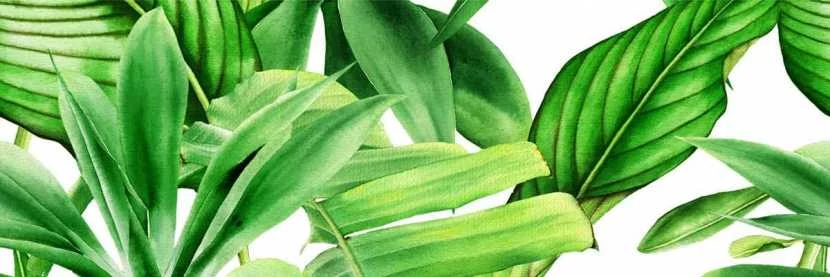 valore premium garden tropic dekor a ret. 25x75 cm