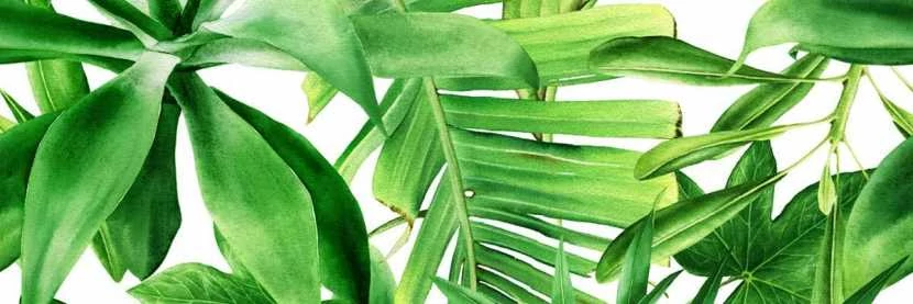 valore premium garden tropic dekor b ret. 25x75 cm