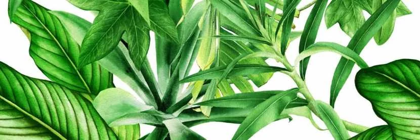 valore premium garden tropic dekor c ret. 25x75 cm