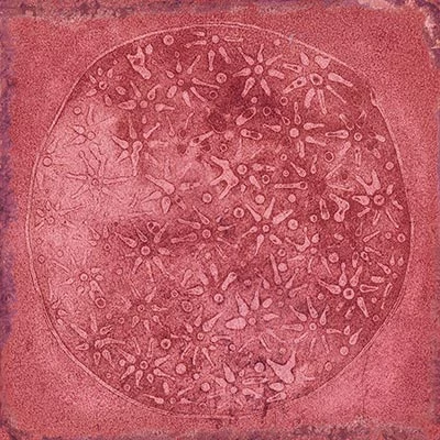 vives luca carlo granate 20x20 cm