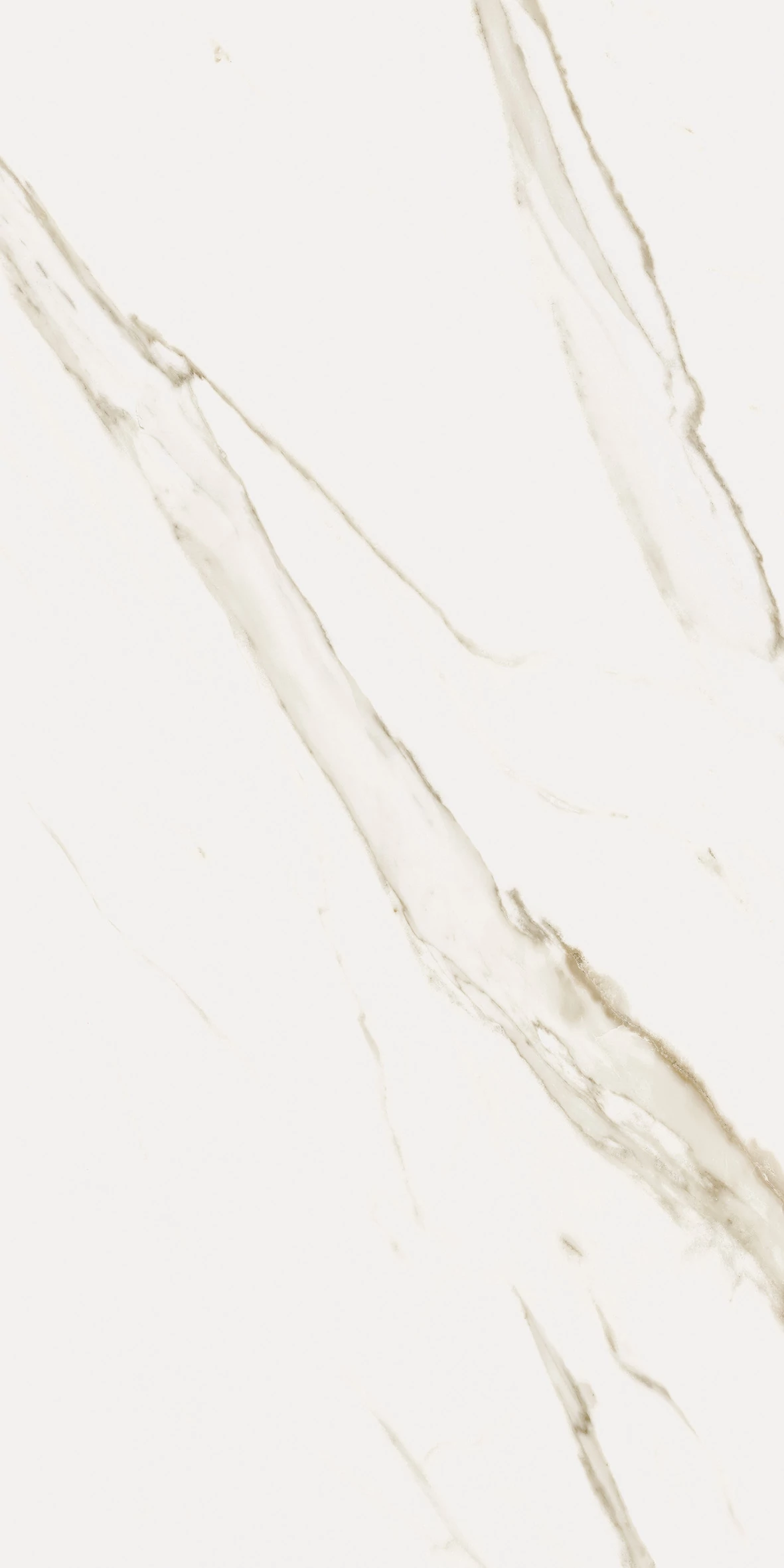 capri classic calacatta 60x120 cm
