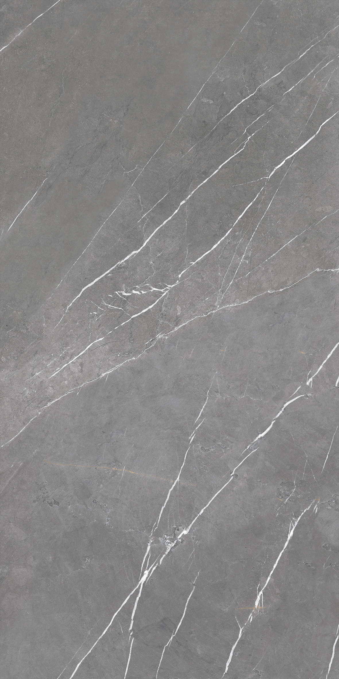 capri classic pietra grey 60x120 cm