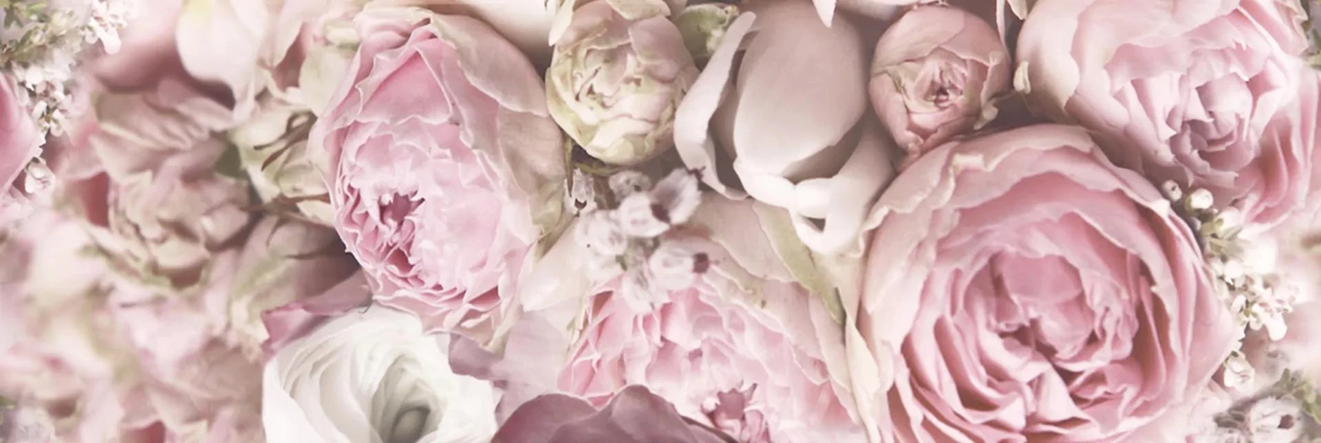 color glamour premium flower b csempe 25x75 cm