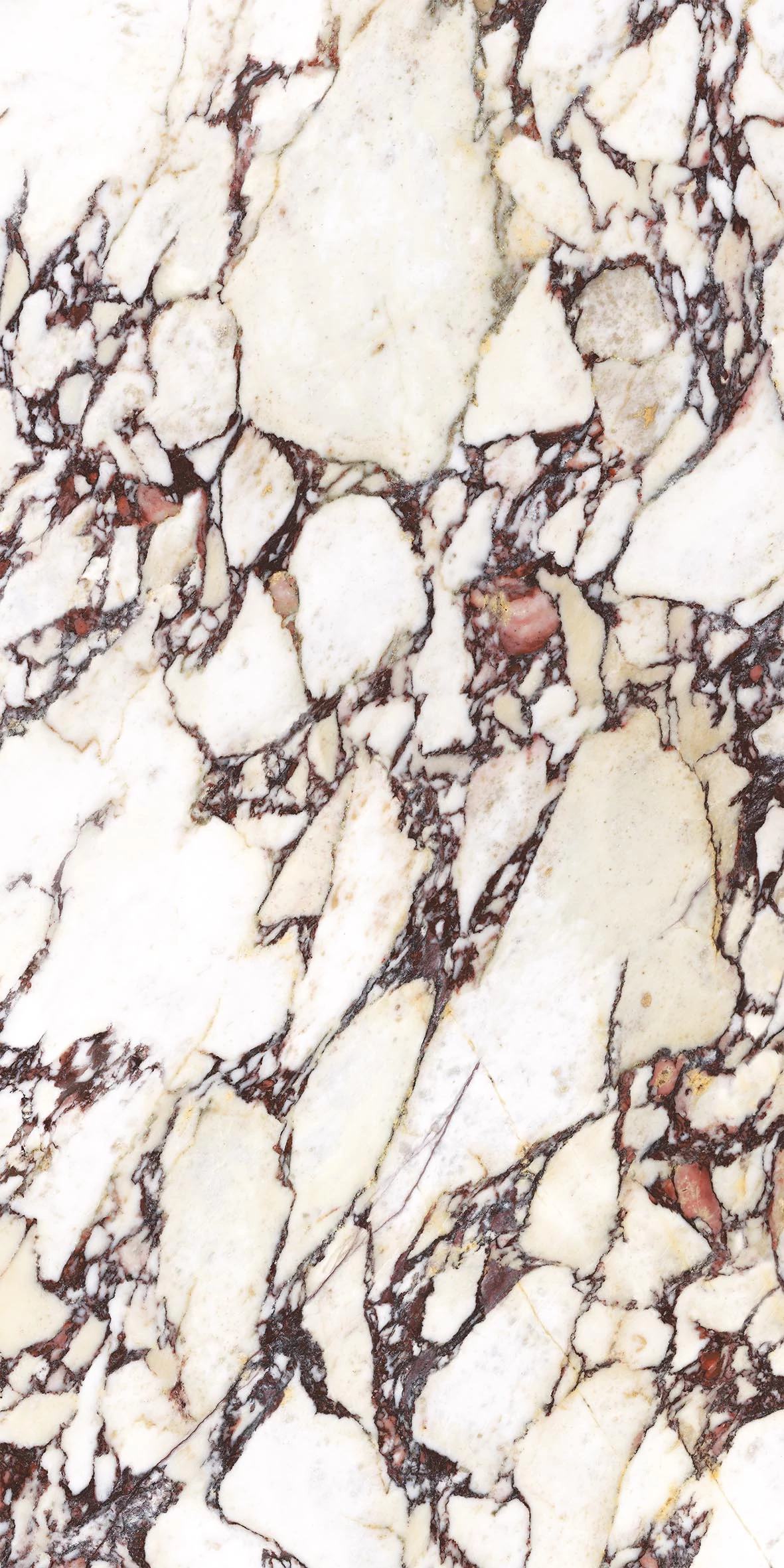 energieker calacatta viola mat 60x120 cm