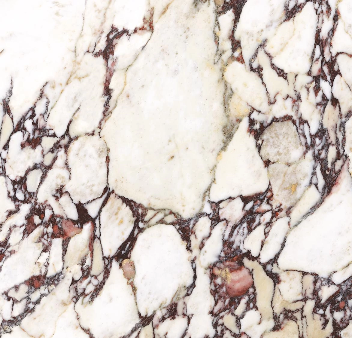 energieker calacatta viola mat 60x60 cm